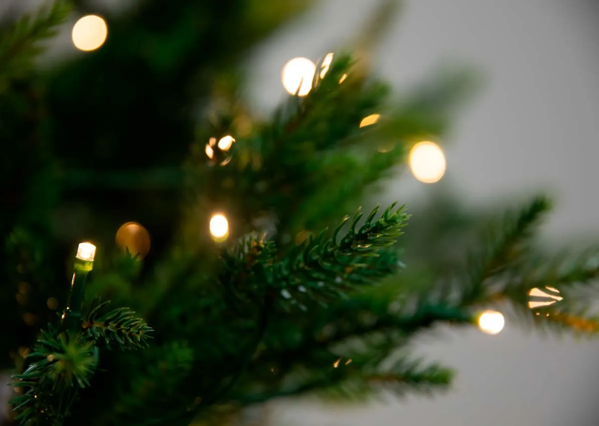 A prelit artificial 8ft Christmas tree from EZ Livings Douglas range. Closeup of warm white light