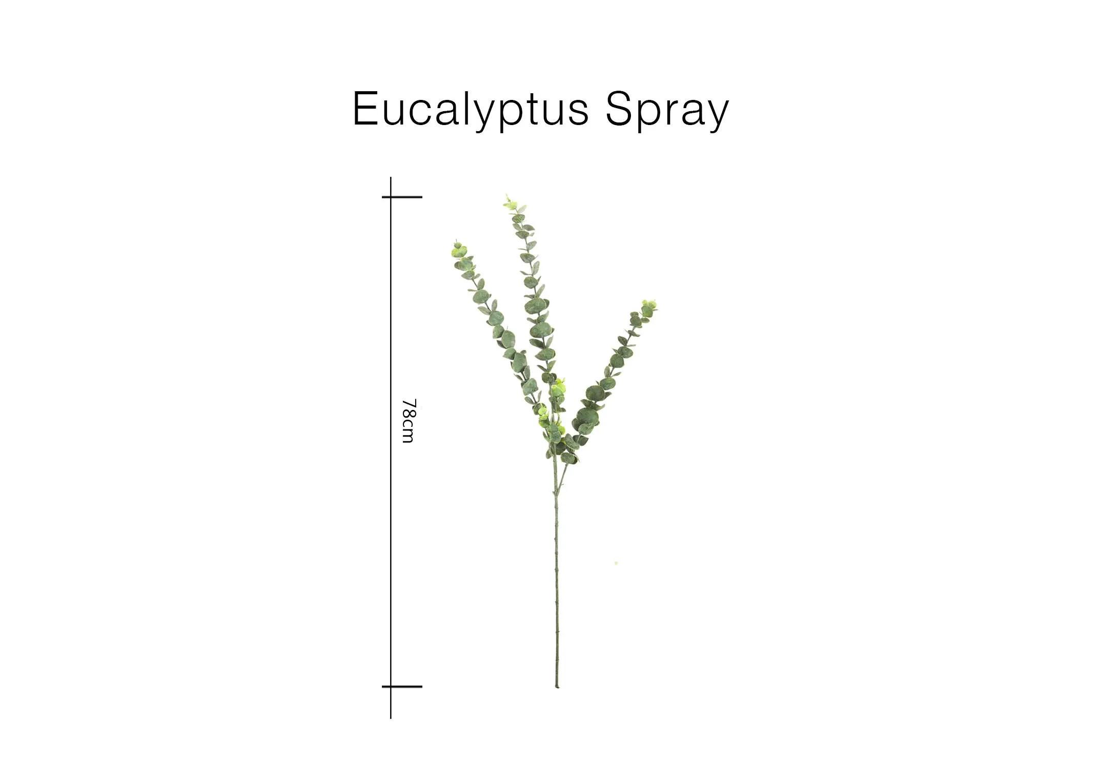 A dimension image of the Eucalyptus Spray with 78cm