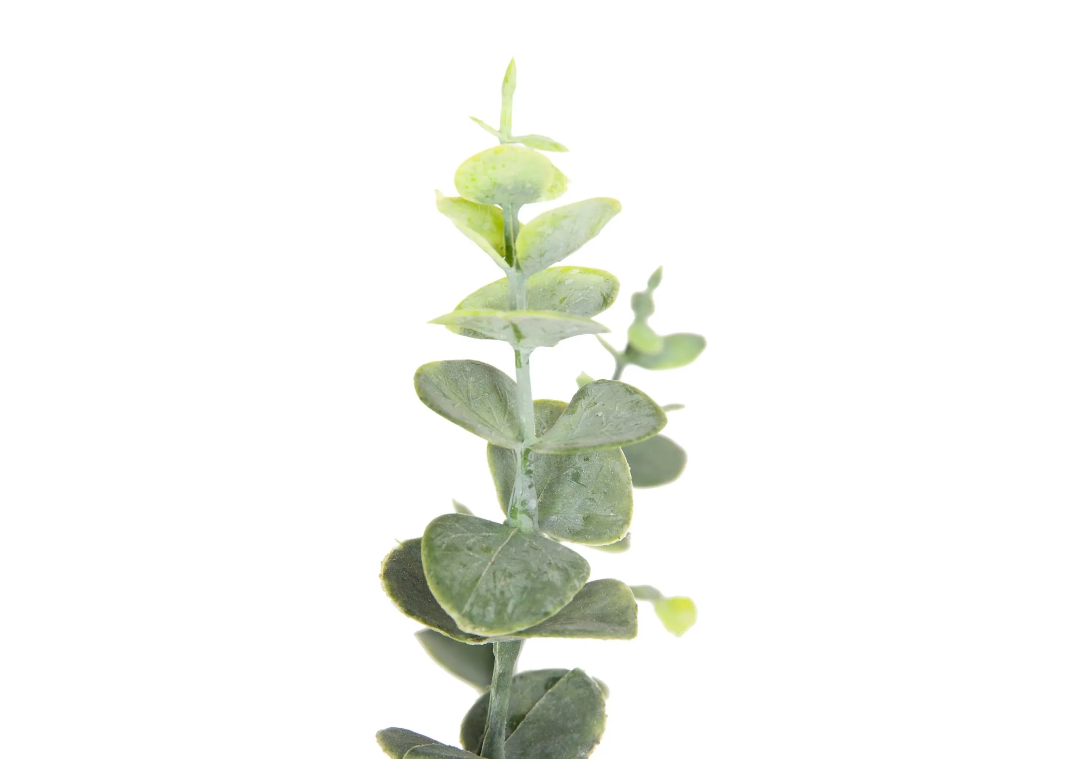 A 3 stem artifical eucalyptus spray from EZ Living's Olive Collection. Closeup of leaves
