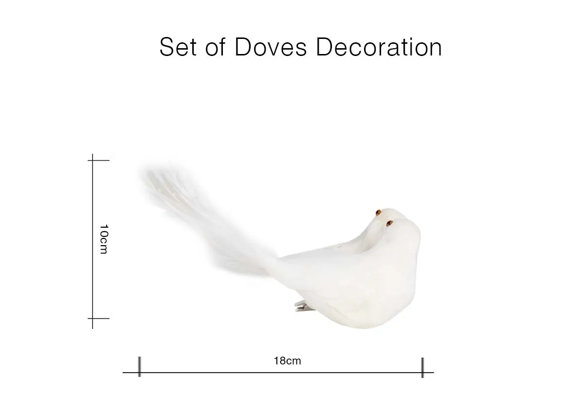Dimensions Image