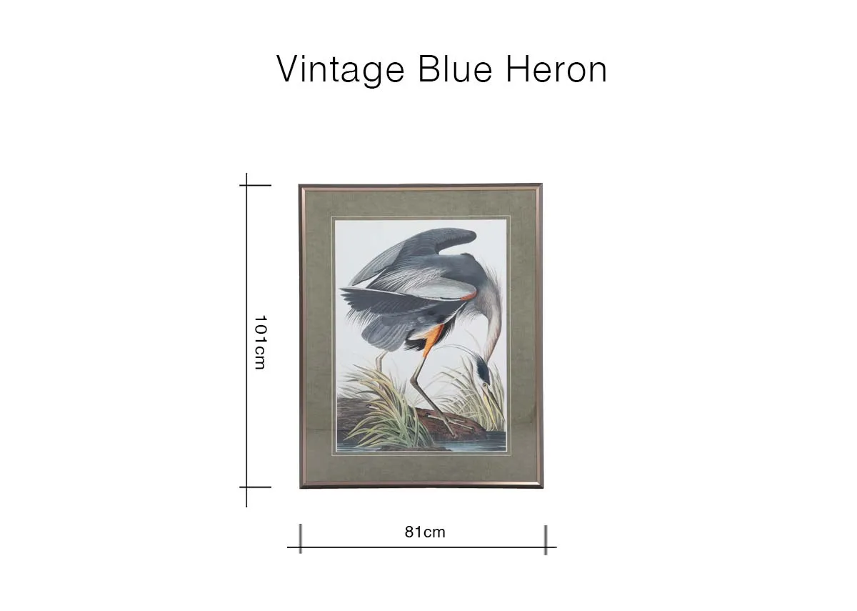 A dimension image of the Vintage Blue Heron with 81cm x 101cm
