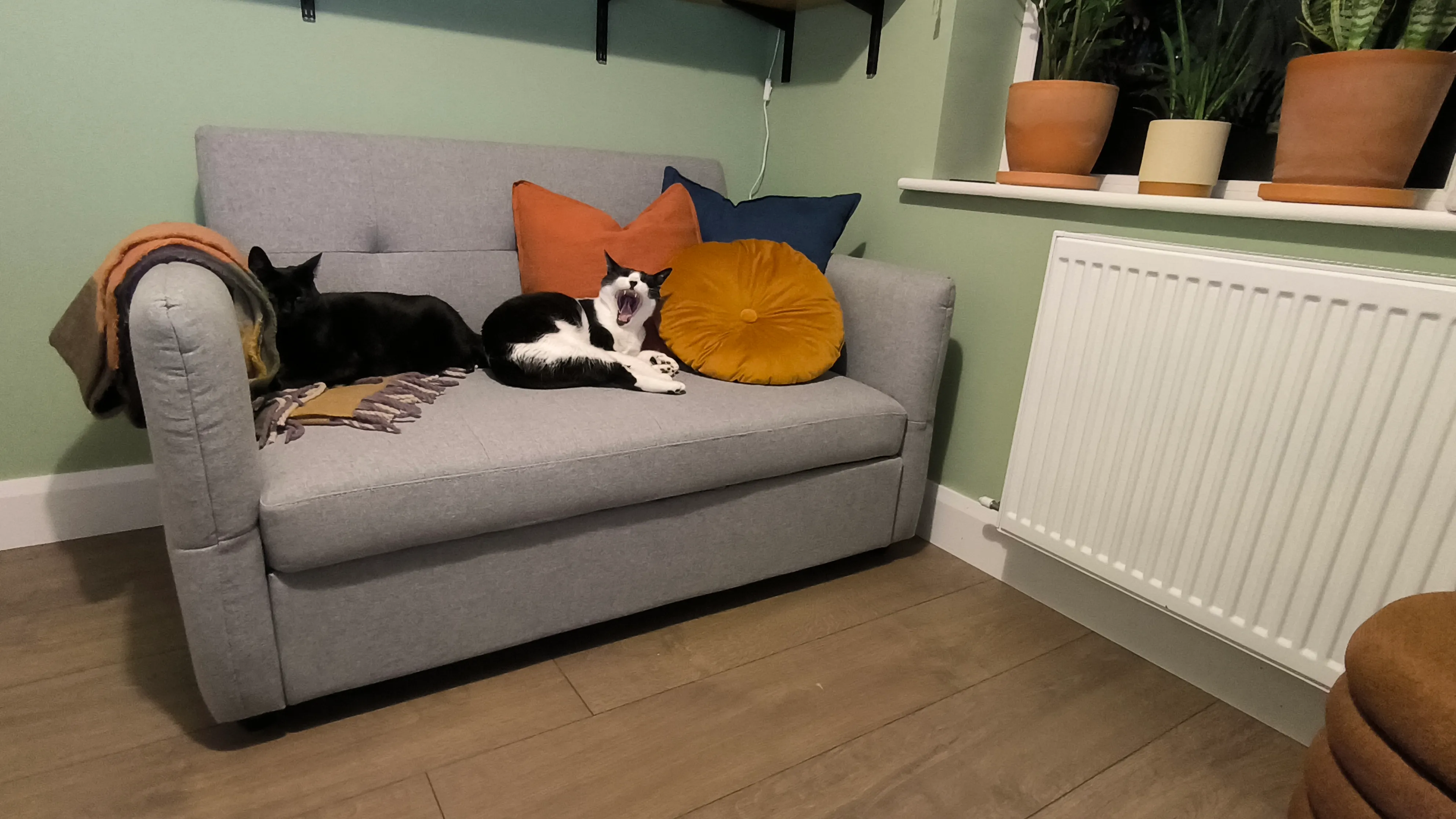 Light Grey Fabric Sofa bed - Celeste