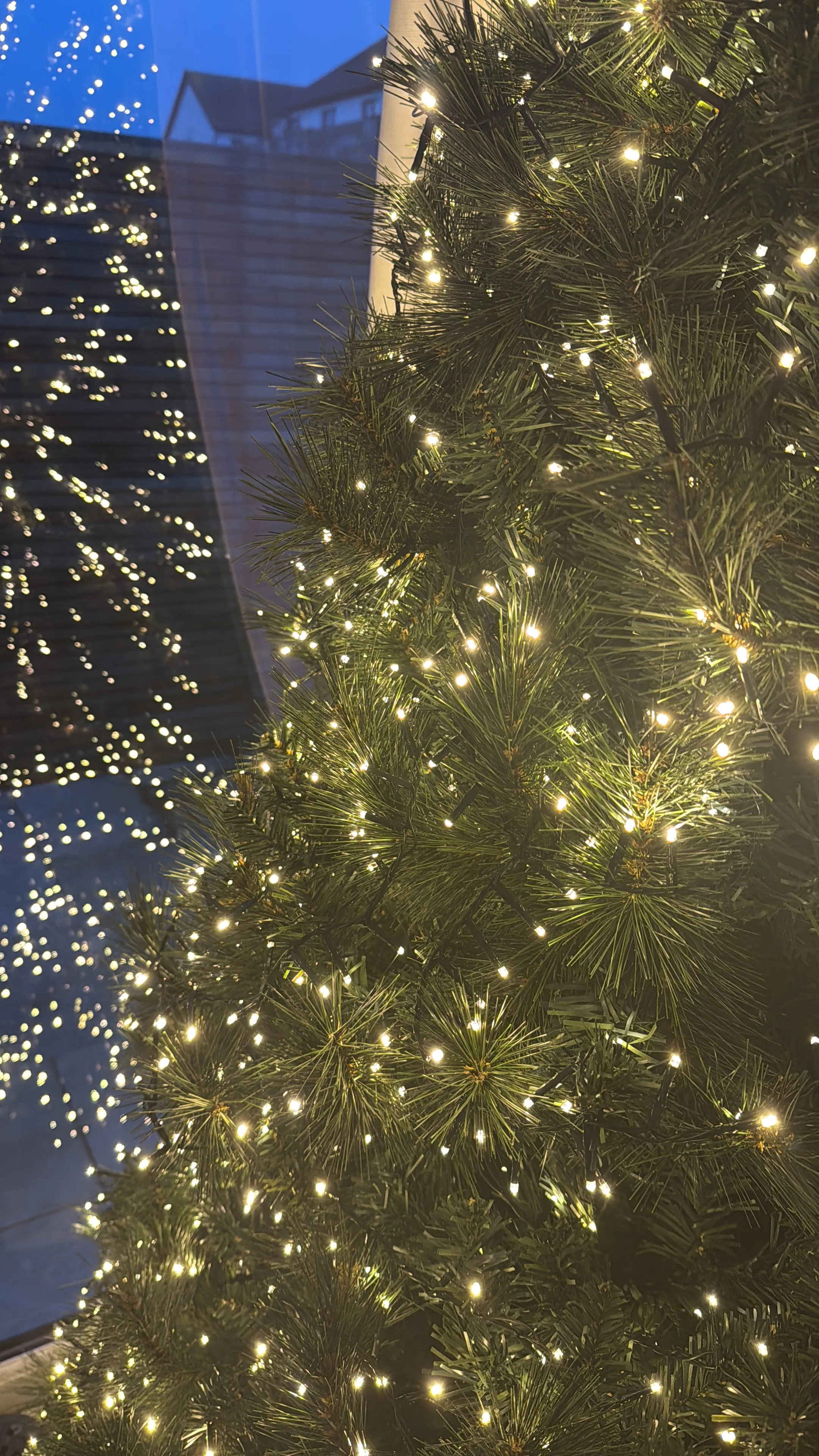 Sherwood 8ft (240cm) Pine Needle - Christmas Tree