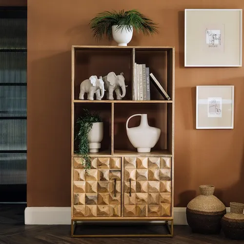 Diva 2 Door Mango Wood Bookcase at EZ Living Furniture.