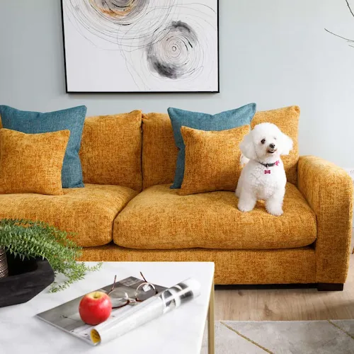 White dog on yellow sofa from EZ Living Furniture.