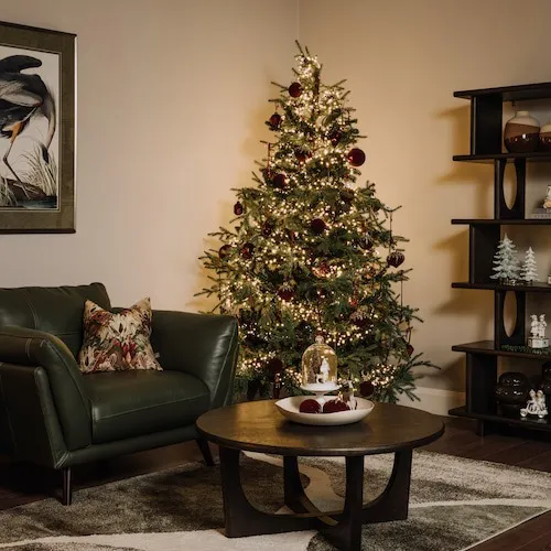 Aspen Tree at EZ Living Furniture.