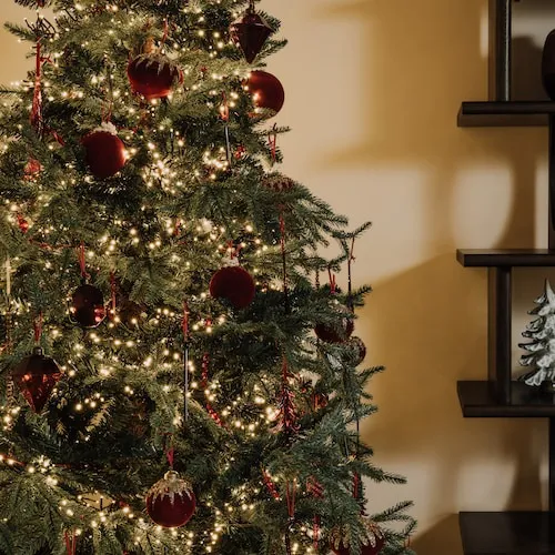 Red velvet and gold encrusted baubles on decorated tree from EZ Living Furniture.